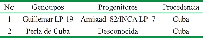 Genotipos evaluados en el estudio y su procedencia.