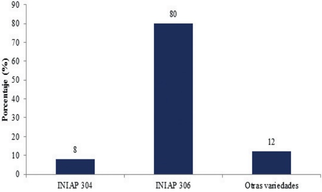 Variedades sembradas por los productores.