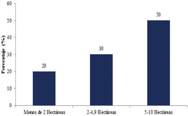 Área sembrada por los productores.