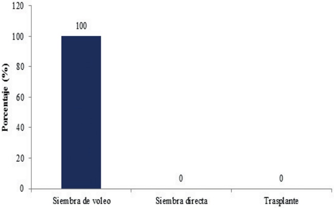 Tipo de siembra utilizada por los productores.