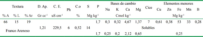 Resultado an&aacute;lisis f&iacute;sico-qu&iacute;mico del suelo en el &aacute;rea experimental. Previo a la siembra y antes de toda fertilizaci&oacute;n.