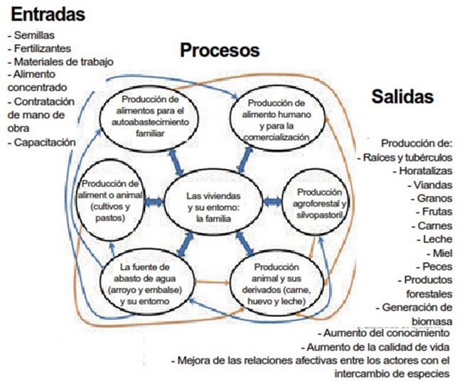 Interacciones entre los subsistemas del agroecosistema. An&aacute;lisis de las entradas, procesos y salidas
