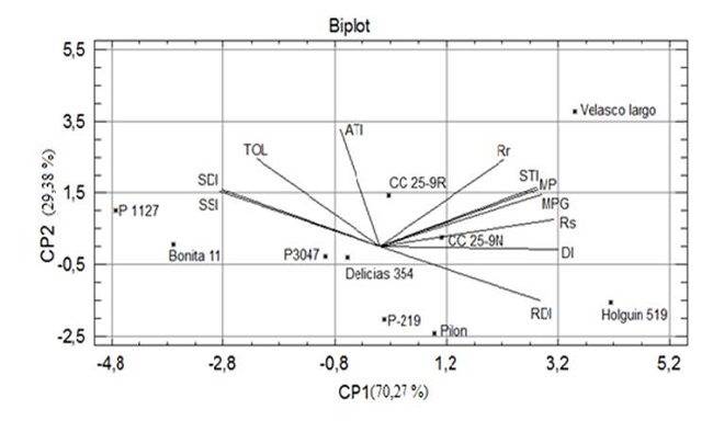 Biplot de la primera y segunda componente para los índices de tolerancia a la sequía