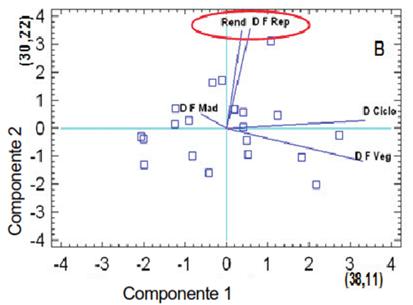 Asociación del rendimiento agrícola y la duración de las fases fenológicas de plantas de arroz (Oryza sativa L.) en la época “lluviosa”