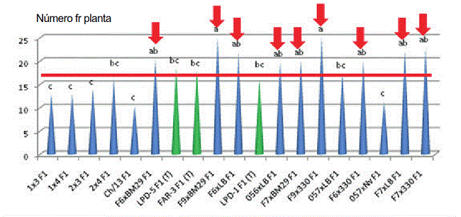 Comportamiento del n&uacute;mero de frutos por planta, en las nuevas combinaciones h&iacute;bridas de pimiento para cultivo protegido