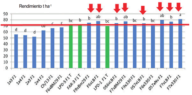 Comportamiento del rendimiento en las nuevas combinaciones h&iacute;bridas de pimiento para cultivo protegido