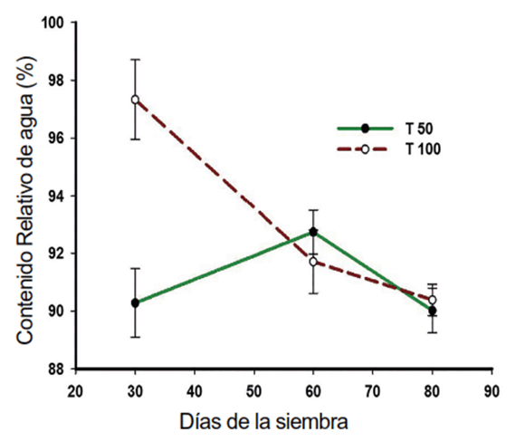 Contenido relativo de agua (%) en ambos tratamientos T 50 y T 100
