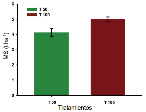 Efecto de los tratamientos de riego T 50 y T 100 en la producci&oacute;n de materia seca (MS) (t ha-1)