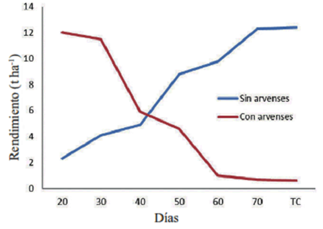 Rendimientos del pimiento (t ha-1) en diferentes per&iacute;odos con y sin manejo de arvenses