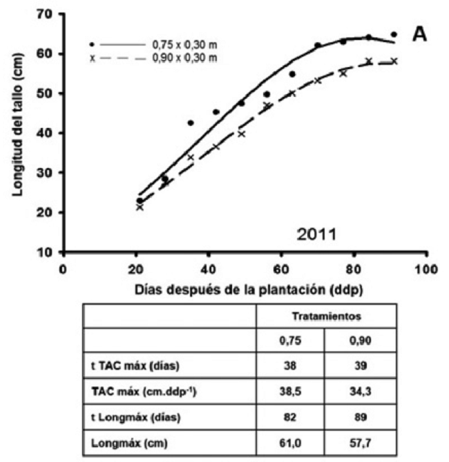 Crecimiento De Plantas De Papa Solanum Tuberosum L Cv Romano En La Provincia De Huambo Angola Bajo Dos Densidades De Plantacion