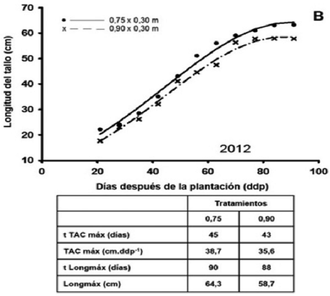 Din&aacute;micas estimadas de la longitud promedio del tallo (cm) de plantas de papa (Solanum tuberosum L.) en diferentes distancias entre surcos y variables derivadas de las mismas