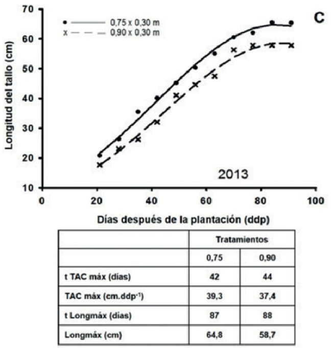 Din&aacute;micas estimadas de la longitud promedio del tallo (cm) de plantas de papa (Solanum tuberosum L.) en diferentes distancias entre surcos y variables derivadas de las mismas