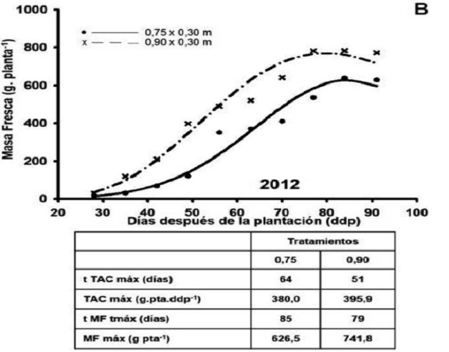 Din&aacute;micas estimadas de la masa fresca del tub&eacute;rculo (g por planta-1) de plantas de papa (Solanum tuberosum L.) en diferentes distancias entre surcos y variables derivadas de las mismas