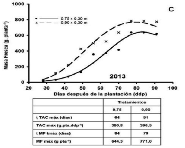Crecimiento De Plantas De Papa Solanum Tuberosum L Cv Romano En La Provincia De Huambo Angola Bajo Dos Densidades De Plantacion