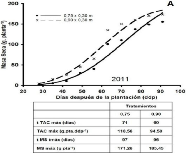Din&aacute;micas estimadas de la masa seca del tub&eacute;rculo (g por planta-1) de plantas de papa (Solanum tuberosum L.) en diferentes distancias entre surcos y variables derivadas de las mismas