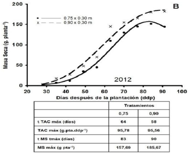 Din&aacute;micas estimadas de la masa seca del tub&eacute;rculo (g por planta-1) de plantas de papa (Solanum tuberosum L.) en diferentes distancias entre surcos y variables derivadas de las mismas