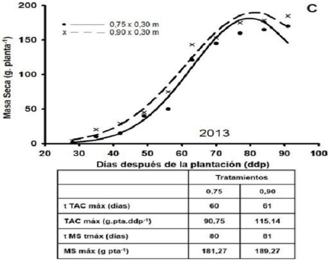 Din&aacute;micas estimadas de la masa seca del tub&eacute;rculo (g por planta-1) de plantas de papa (Solanum tuberosum L.) en diferentes distancias entre surcos y variables derivadas de las mismas