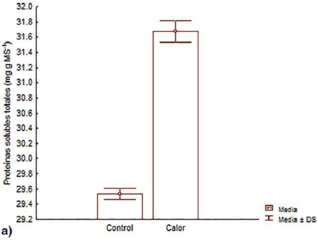 Contenido foliar de prote&iacute;nas solubles totales en las fenofases de a) macollamiento y b) espigamiento