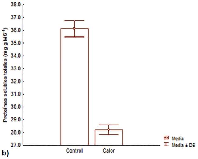 Contenido foliar de prote&iacute;nas solubles totales en las fenofases de a) macollamiento y b) espigamiento