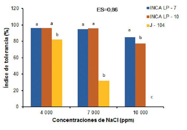 Comportamiento del &iacute;ndice de tolerancia a la salinidad en la germinaci&oacute;n en tres cultivares de arroz