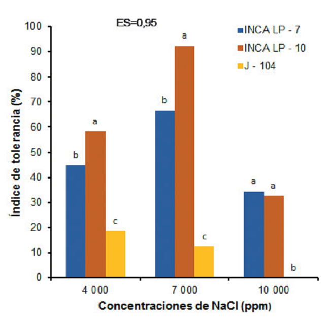 Comportamiento del &iacute;ndice de tolerancia a la salinidad en la longitud de la ra&iacute;z en tres cultivares de arroz