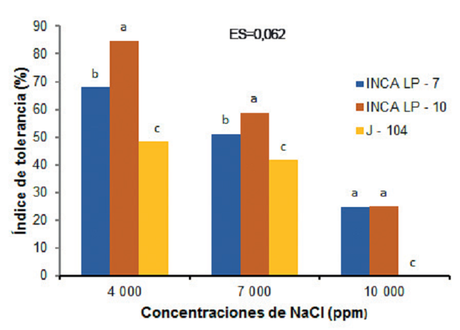 Comportamiento del &iacute;ndice de tolerancia a la salinidad en la masa fresca en tres cultivares de arroz