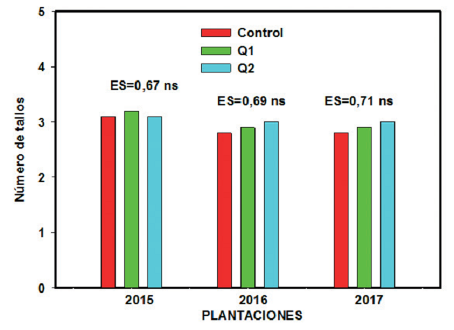Número de tubérculos por planta en las tres plantaciones realizadas
