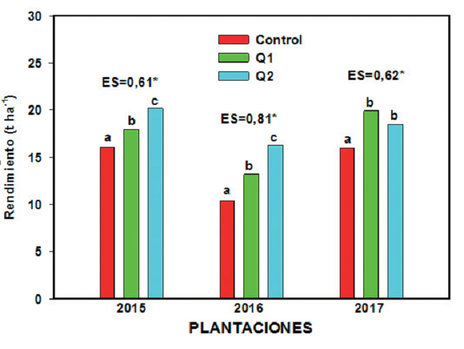 Rendimiento alcanzado por las plantas en las tres plantaciones realizadas