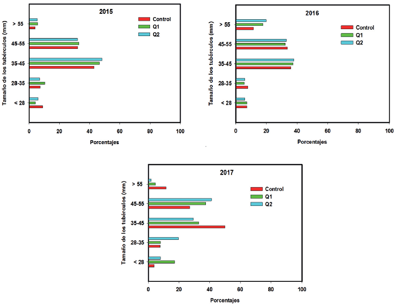 Distribución por calibre del número de tubérculos en las tres plantaciones realizadas