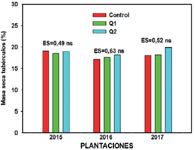 Porcentaje de materia seca en tubérculos en las tres plantaciones realizadas