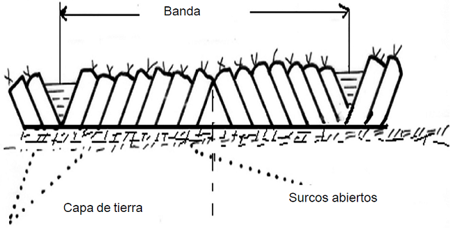 Disposición de las capas en la aradura abatida