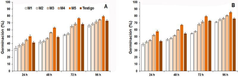 Porcentaje de germinación del sorgo, cultivar CIAP 132R (A) e ISIAP Dorado (B), en un intervalo de 24 h, hasta las 96 h