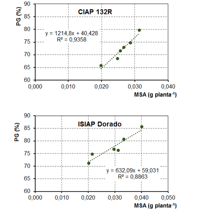 Regresión entre el porcentaje de germinación (PG) a las 96 horas y la masa seca aérea (MSA) a los 10 días después de la emergencia de plantas de sorgo, cultivares CIAP 132R e ISIAP Dorado, cultivados en bandeja en un suelo Gleysol Nodular ferruginoso petroférrico