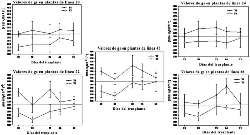 Valores medios de gs a los 23, 30, 39, 44 y 51 DDT en cada una de las l&iacute;neas evaluadas en dos tratamientos de riego