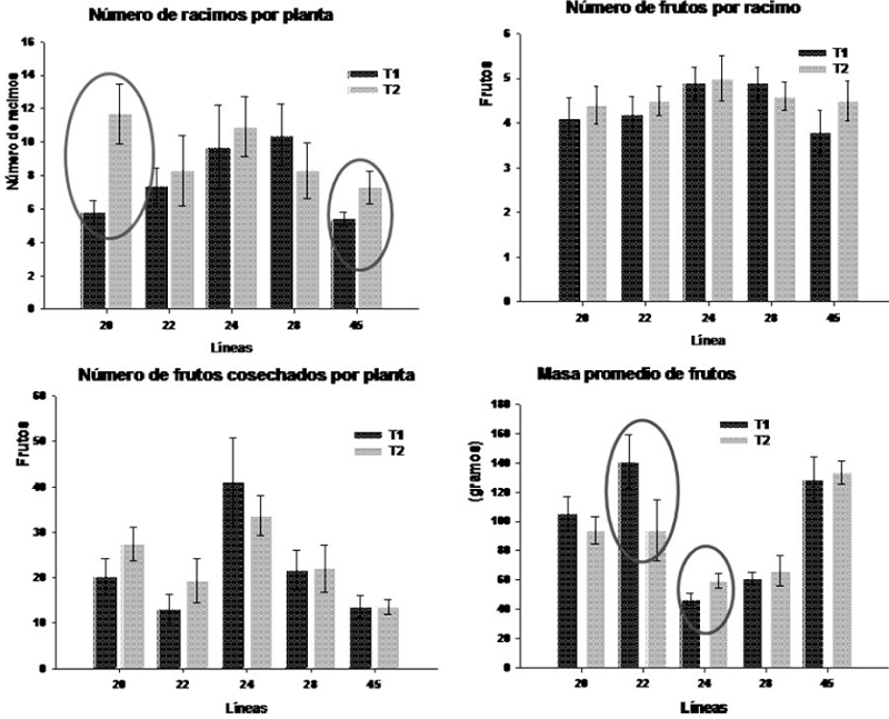 Componentes del rendimiento de cinco l&iacute;neas de tomate cultivadas en dos condiciones de humedad del suelo