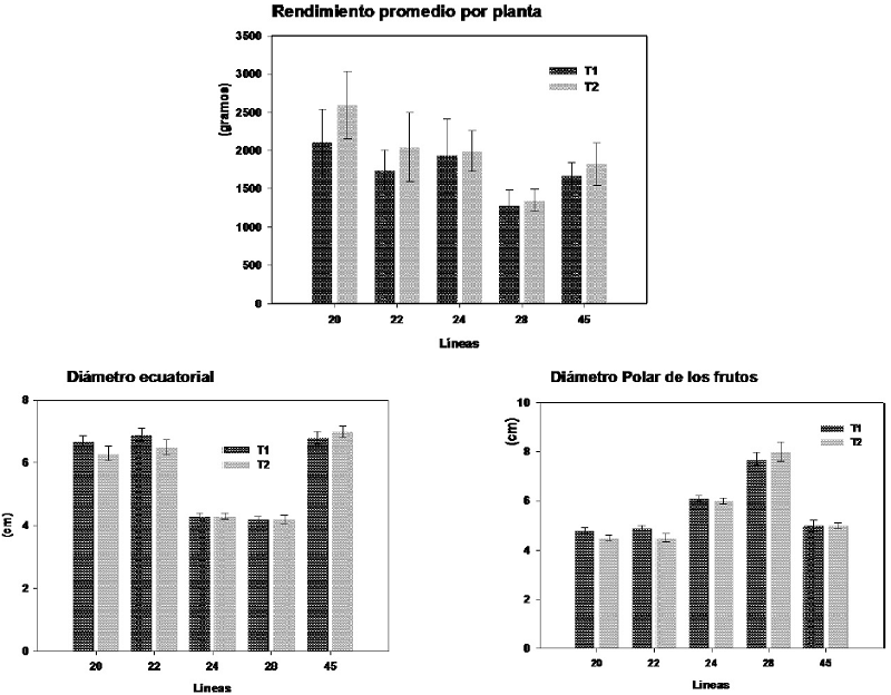 Rendimiento promedio por planta y di&aacute;metro ecuatorial y polar de los frutos de cinco l&iacute;neas de tomate cultivadas en dos condiciones de humedad del suelo
