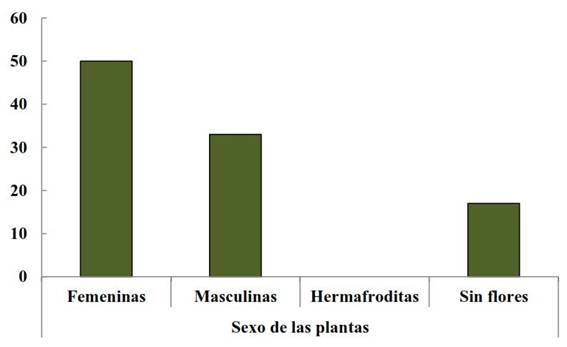 Evaluaci&oacute;n del sexo en plantas de papayo silvestre (Carica papaya L.) identificadas en la cordillera Habana-Matanzas