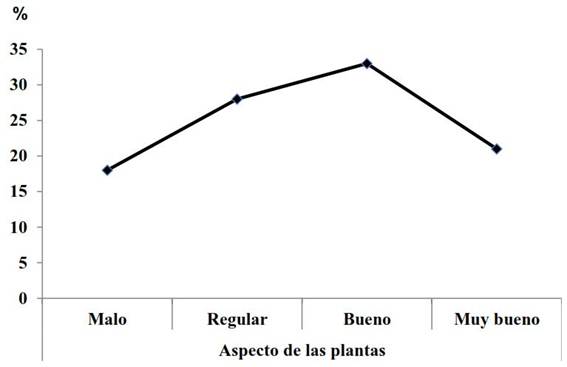 Aspecto de las plantas de papayo silvestre (Carica papaya L.) en sus &aacute;reas naturales de la cordillera Habana-Matanzas a partir del n&uacute;mero de hojas, da&ntilde;os por plagas y aspecto visual