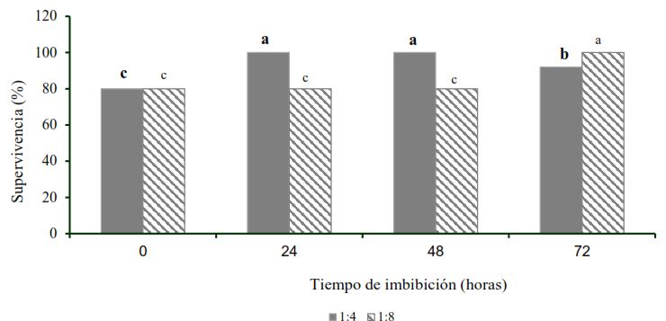 Efecto del tiempo de inmersi&oacute;n de las ra&iacute;ces de las plantas de Ananas comosus var. comosus &lsquo;MD-2&rsquo; en diluciones del extracto acuoso de hojas de Moringa oleifera Lam. cv Supergenius en la supervivencia a los 42 d&iacute;as en condiciones ambientales controladas