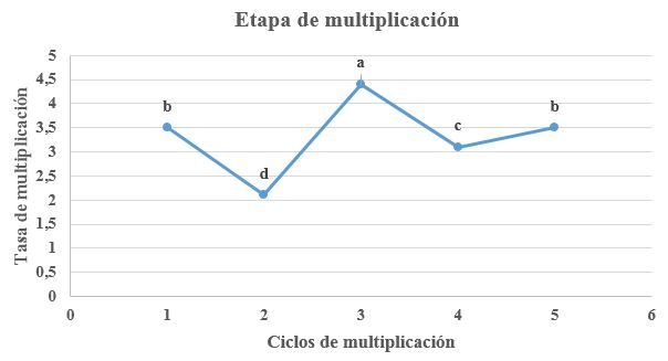 Tasas de multiplicación (o número de brotes por explante) de las plantas de café (Coffea arabica) correspondientes a cinco ciclos de multiplicación bajo condiciones in vitro (p≤0,01)