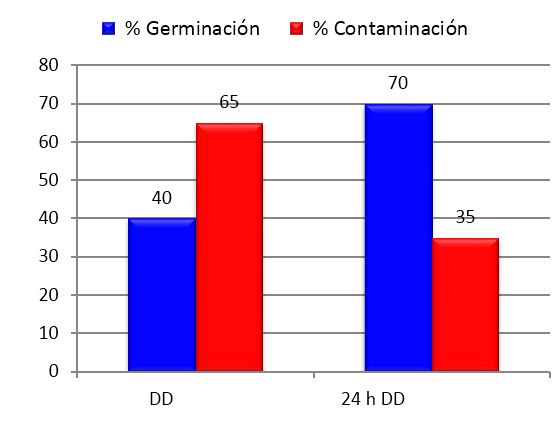 Efecto del tiempo de permanencia en la soluci&oacute;n antibi&oacute;tica antes de la inoculaci&oacute;n sobre los porcentajes de germinaci&oacute;n y contaminaci&oacute;n de prop&aacute;gulos de INCAM-11 en el bioensayo 2