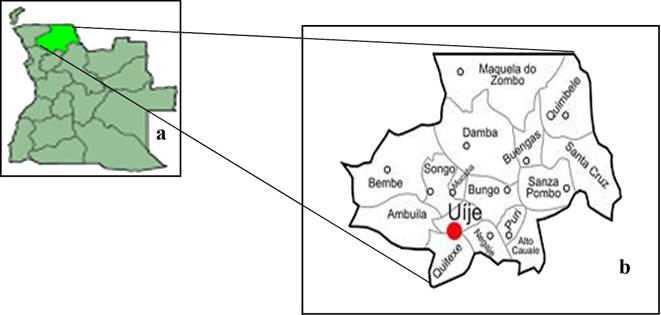 Localizaci&oacute;n del &aacute;rea de estudio: a- pa&iacute;s Angola; b- Provincia Uig&eacute;