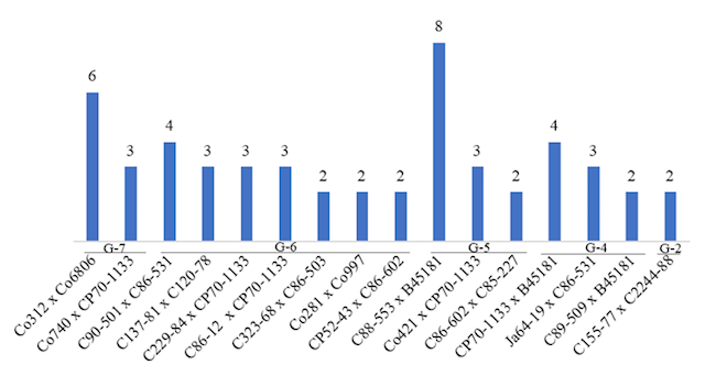 Frecuencia de individuos por cruces en estudios replicados y clasificaci&oacute;n seg&uacute;n su valor gen&eacute;tico estimado