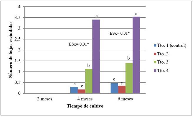 N&uacute;mero de hojas escindidas, de las plantas de cafeto (C. arabica) subcultivadas en medio de cultivo de conservaci&oacute;n, con diferentes concentraciones de los macro y microelementos de MS