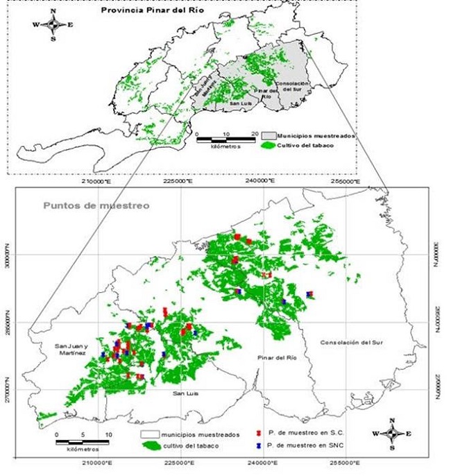 Distribuci&oacute;n espacial de los puntos de muestreo de suelos en la Llanura Sur de Pinar del R&iacute;o, Cuba