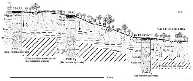 Distribuci&oacute;n de los principales suelos en la Unidad Consolaci&oacute;n del Sur. Pinar del R&iacute;o, Cuba