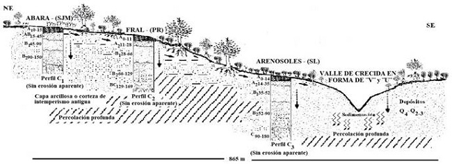 Distribuci&oacute;n de los principales suelos. Unidades Pinar del R&iacute;o, San Juan y Mart&iacute;nez y San Lu&iacute;s, Cuba
