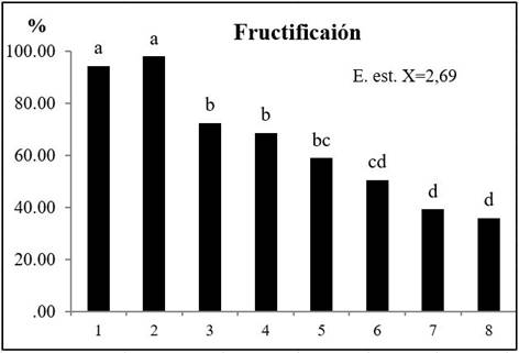 Efecto del riego en la fructificaci&oacute;n del tomate (Solanun Lycopersicum L.) `Mara&acute;, sometido a diferentes variantes de riego en organop&oacute;nico 