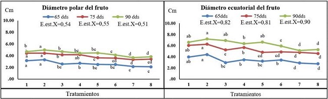 Di&aacute;metro polar y ecuatorial de los frutos de tomate (Solanum LycopersicumL.) `Mara&acute;, sometido a diferentes variantes de riego en organop&oacute;nico