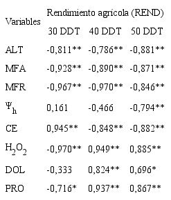 Coeficientes de correlaci&oacute;n de Pearson de variables filol&oacute;gicas y bioqu&iacute;micas, respecto al rendimiento agr&iacute;cola, por efecto de la suspensi&oacute;n de la l&aacute;mina de agua a los 30, 40, y 50 DDT, por un periodo de 15 d&iacute;as en el momento de la cosecha a los 147 DDT. n=8